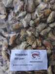 mosselen 500